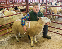 Longtown Mart Young Handlers sponsored by Farmers Guardian - 8th August 2024-14